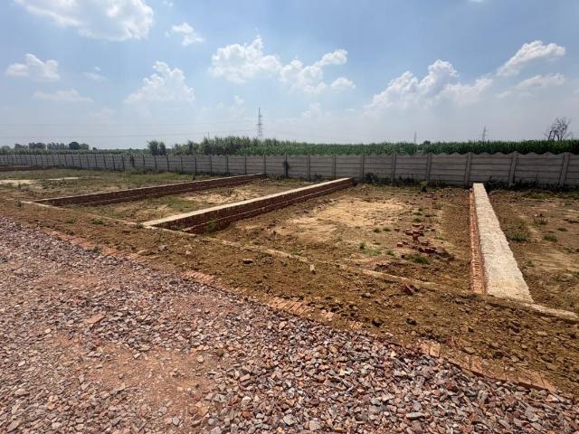 Land for sale in Jharli, Arunachal Pradesh