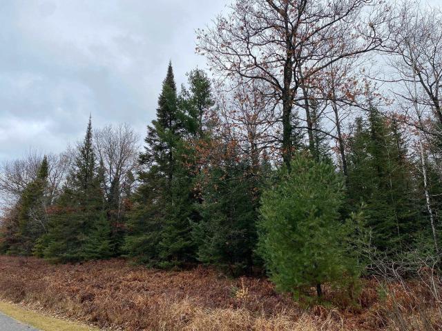 Land for sale in Rhinelander, Wisconsin