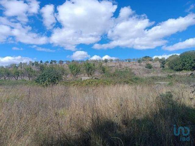 Terreno venda em Mogadouro, Bragança