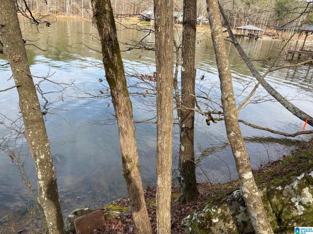 Land for sale in Ohatchee, Alabama