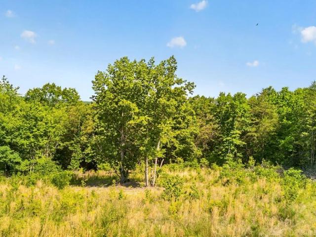 Land for sale in Virginia