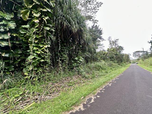 Land for sale in Pahoa, Hawaiʻi County