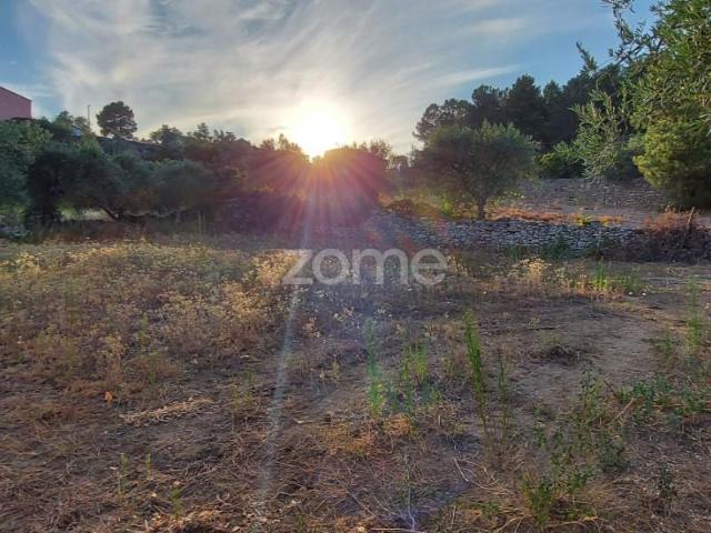 Terreno venda em Viseu