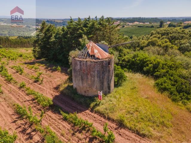 Terreno venda em Carvalhal Benfeito, Caldas Da Rainha