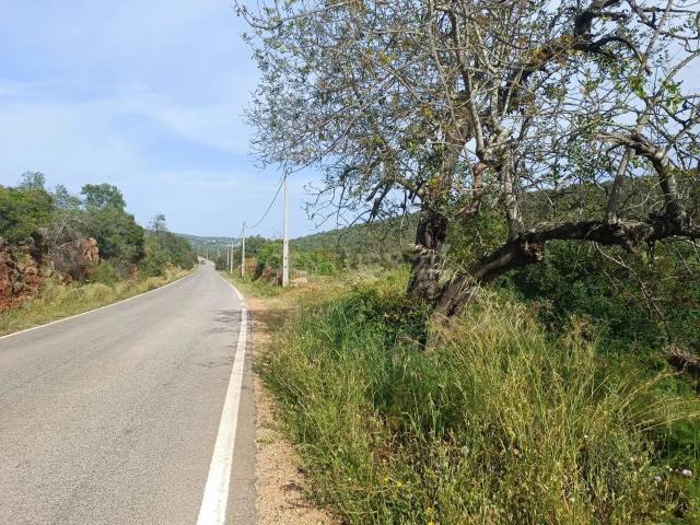 Terreno venda em Messines de Baixo, Loulé