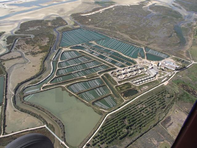 Quinta venda em Luz de Tavira, Tavira