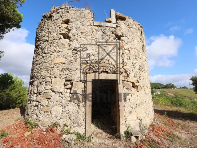 Armazém venda em Alenquer, Lisboa