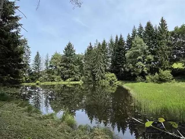 Terrain vente à Limoges, Moissannes