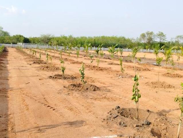 Land for sale in Ranga Reddy, Mokila
