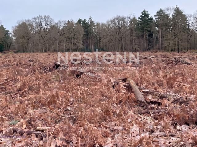 Terrain vente à Vannes, Bretagne
