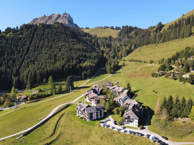 Wohnung kaufen in Moléson-village, Freiburg