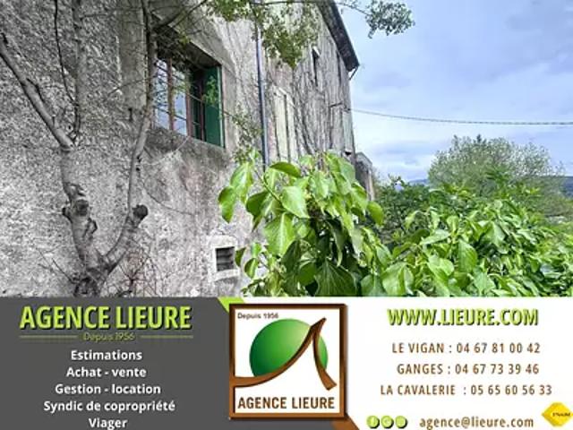 Maison vente à Molières-Cavaillac, Gard