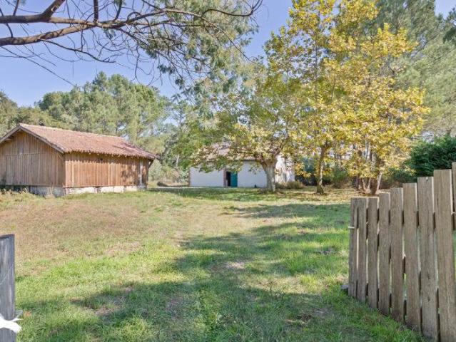 Maison vente à France métropolitaine, Moliets-et-maa