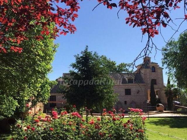 Casa en alquiler en Daimiel