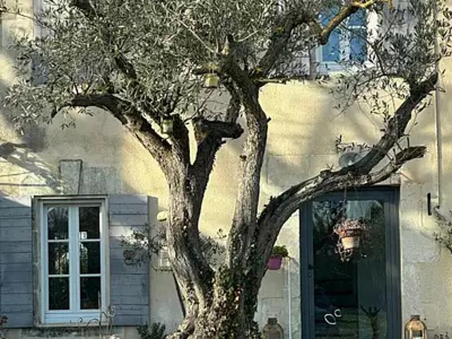 Maison vente à Arles, Mollégès