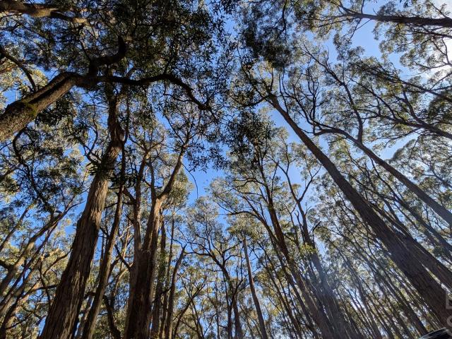 Property for sale in Mollongghip, Victoria
