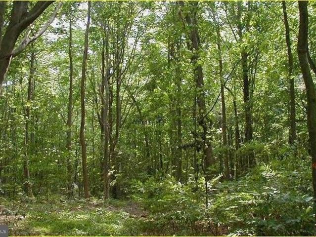 Land for sale in Upper Marlboro