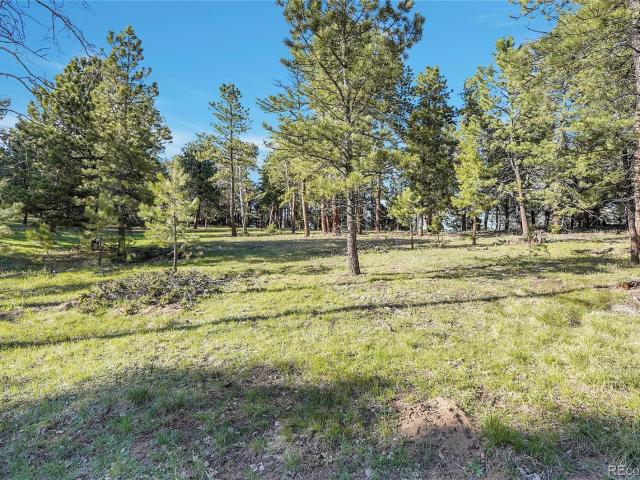 Property for sale in Conifer, Colorado
