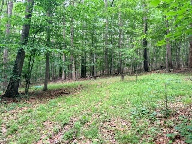 Land for sale in Hinton, West Virginia