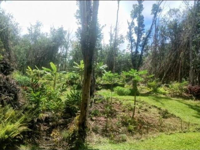 Farm for sale in Pahoa, Hawaiʻi County