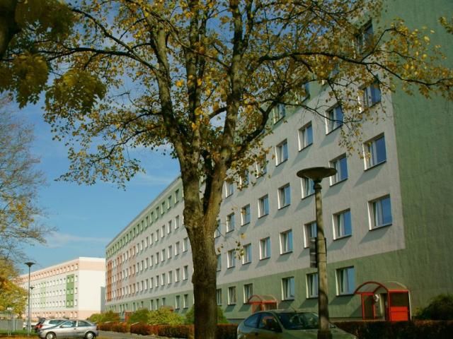 Apartment mieten in Neundorfer Vorstadt, Plauen