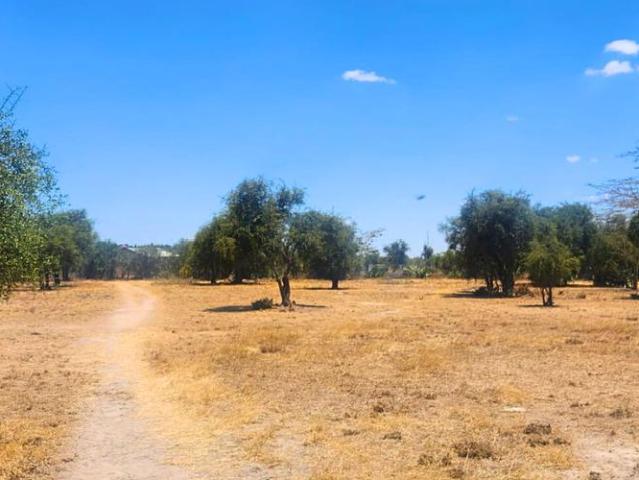 Land for sale in Mackinnon Road, Kinango