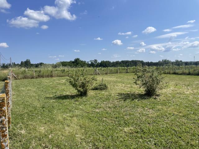 Terrain vente à France métropolitaine, Mombrier