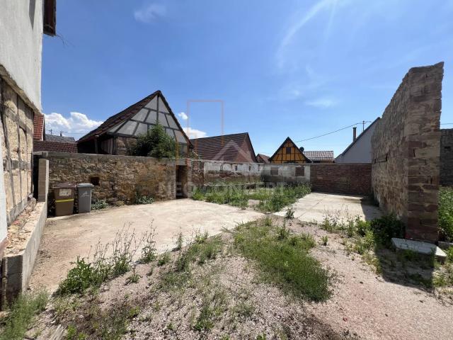 Maison vente à Mommenheim, Collectivité européenne d'Alsace