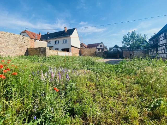Terrain vente à Haguenau-Wissembourg, Mommenheim