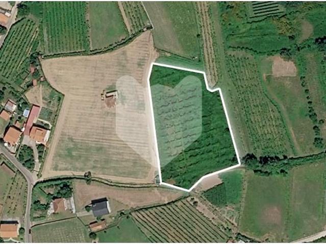 Terreno venda em Monção, Viana Do Castelo