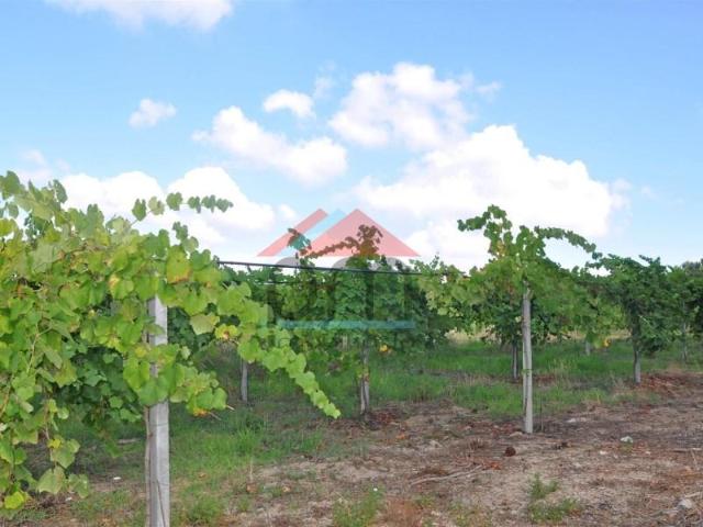 Terreno venda em Monção, Viana Do Castelo