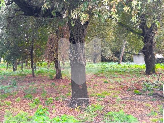 Terreno venda em Monção, Viana Do Castelo
