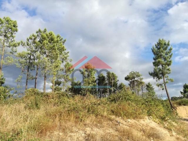 Terreno venda em Monção, Viana Do Castelo