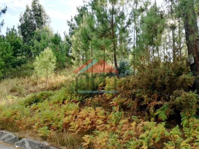 Terreno venda em Monção, Viana Do Castelo