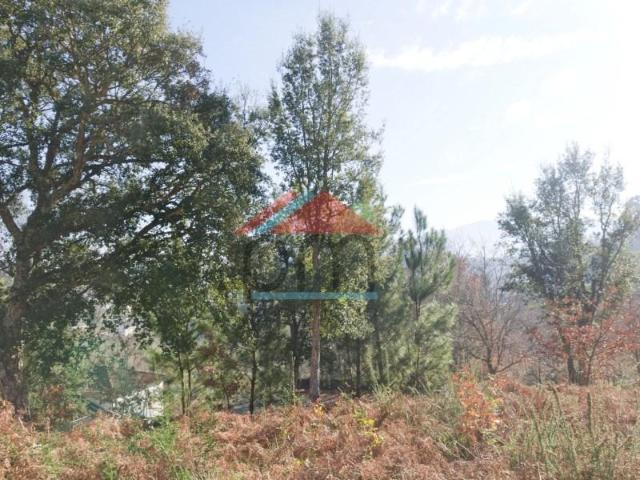 Terreno venda em Monção, Viana Do Castelo