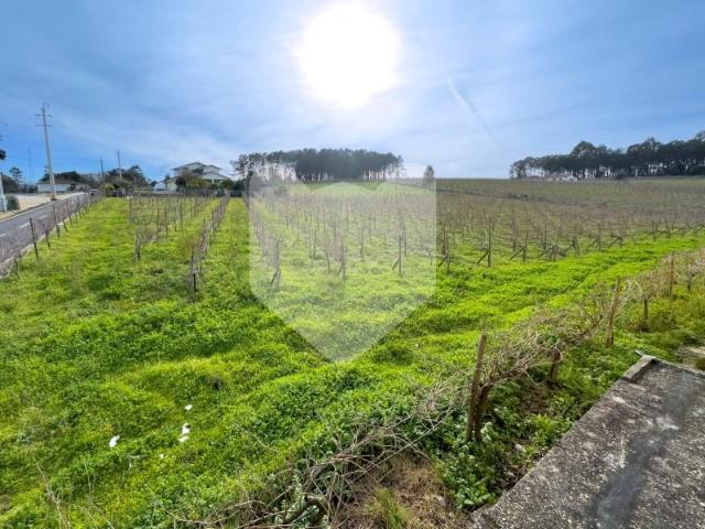 Terreno venda em Monção, Viana Do Castelo