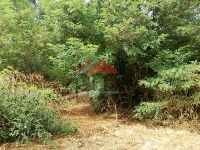 Terreno venda em Monção, Viana Do Castelo