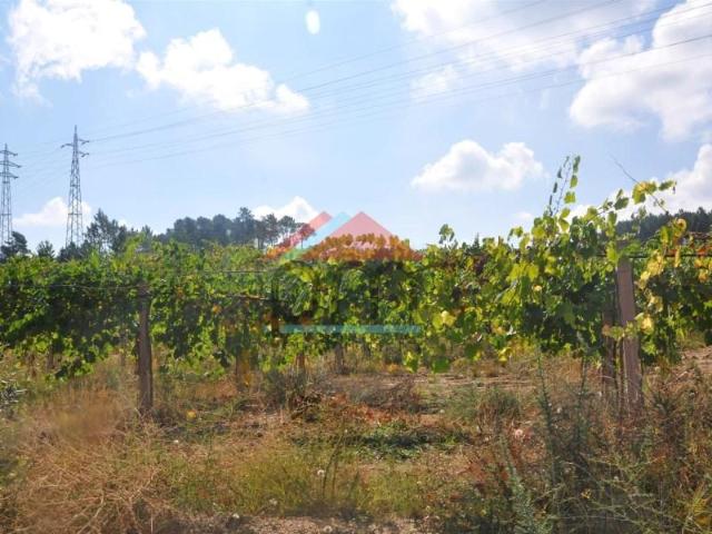Terreno venda em Monção, Viana Do Castelo