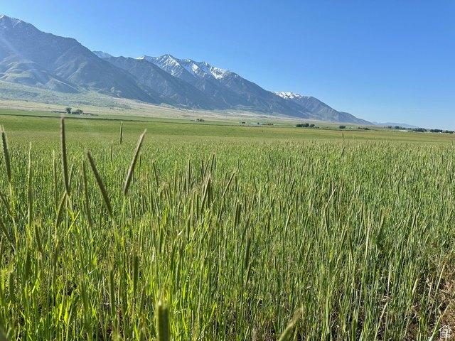Land for sale in Utah