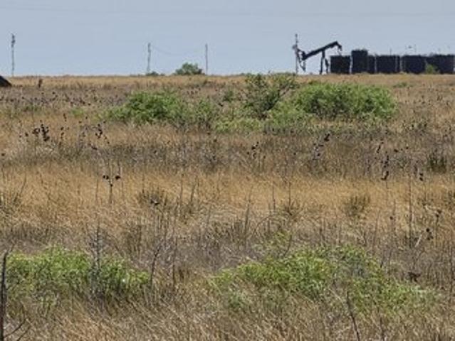 Land for sale in Levelland, Texas
