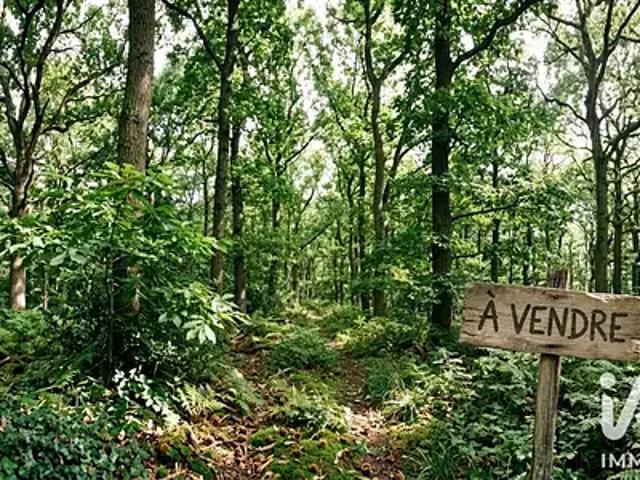Terrain vente à Petit Guillien, Monbahus