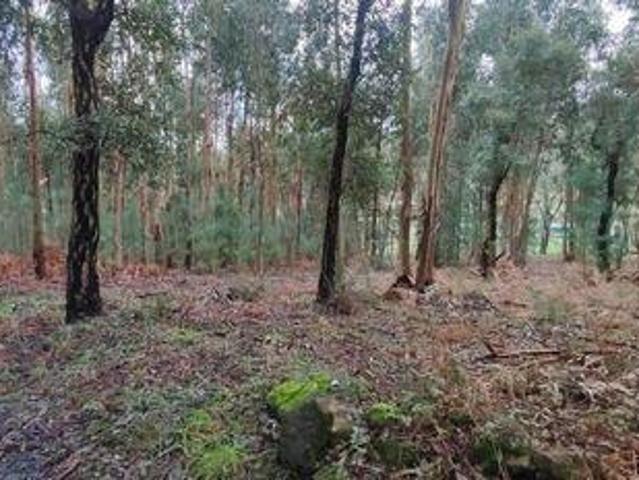Terreno venda em Cascarneiro, Monção