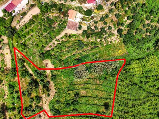Terreno venda em Monchique, Faro