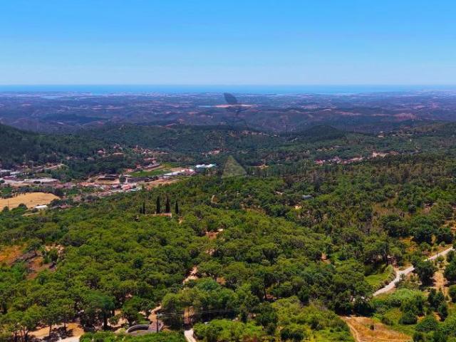 Terreno venda em Monchique, Faro