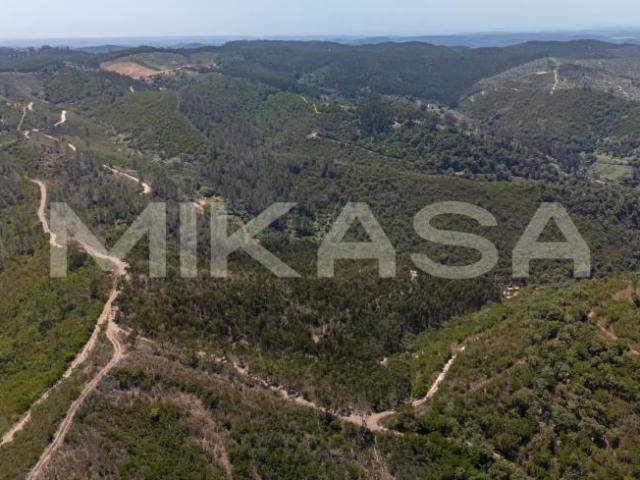 Terreno venda em Monchique, Faro