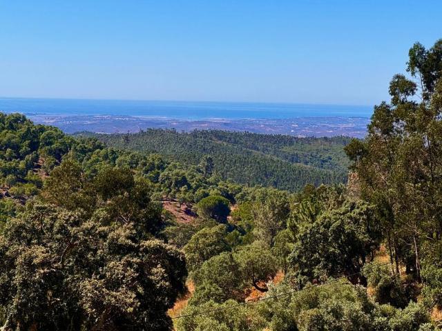 Terreno venda em Monchique, Faro