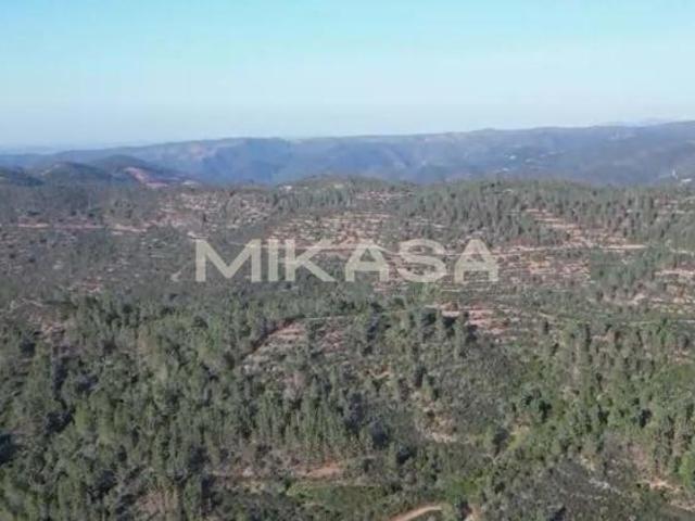 Terreno venda em Monchique, Faro