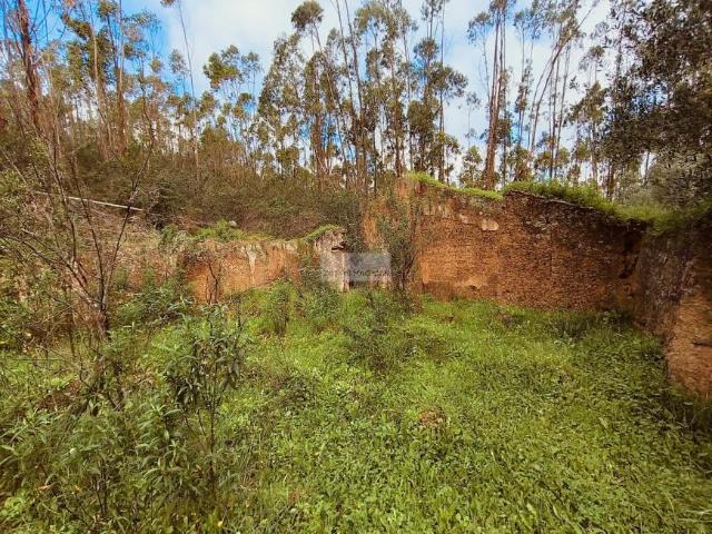 Terreno venda em Monchique, Faro