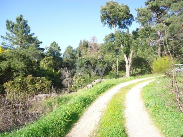 Terreno venda em Monchique, Faro