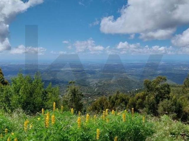 Terreno venda em Monchique, Faro
